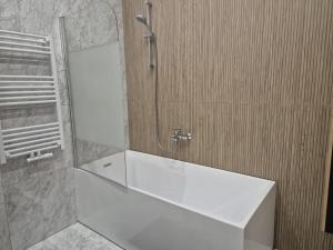 a bathroom with a shower and a white bath tub at Tour à Taxi apartment in Brussels