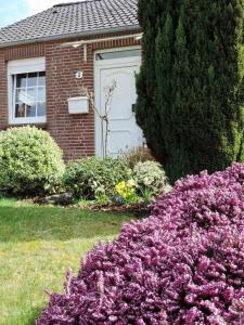 uma casa com uma porta branca e algumas flores roxas em Ferienhaus in Blandorf-Wichte mit Garten und Terrasse em Hage