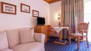 TV a/nebo společenská místnost v ubytování Hotel Alpina