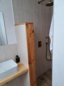 W łazience znajduje się umywalka i prysznic. w obiekcie pokój 1 z antrasolą w mieście Przysiecz