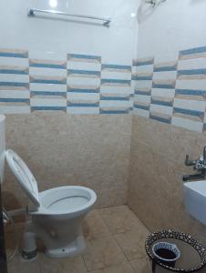 a bathroom with a toilet and a sink at THE APPOLO REGENCY in Chennai