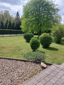 Zahrada ubytování chalet au calme
