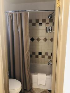 La salle de bains est pourvue d'un rideau de douche et de toilettes. dans l'établissement Parkway Motel, à Wawa