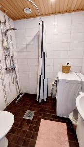 a bathroom with a toilet and a sink at Lomayksiö C 3 Sotkamon keskustassa in Sotkamo