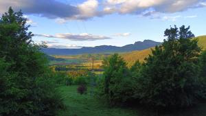 vistas a un valle con árboles y montañas en Allotjaments rurals Can Punti, en Vallfogona de Ripollès