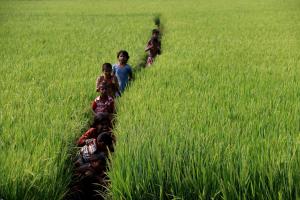 um grupo de crianças a caminhar por um campo de relva em Goyla 