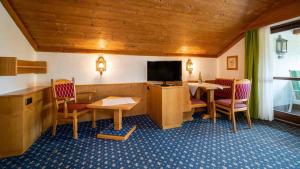 TV a/nebo společenská místnost v ubytování Hotel Alpina