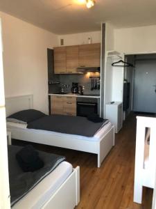 Kuchyň nebo kuchyňský kout v ubytování Zentrales Studio-Apartment in Linz, Arbeiter-hit