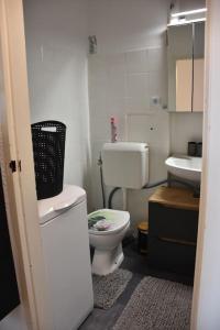 a small bathroom with a toilet and a sink at Zentrales Studio-Apartment in Linz in Linz