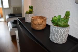 Fotografie z fotogalerie ubytování Zentrales Studio-Apartment in Linz, Arbeiter-hit v Linci