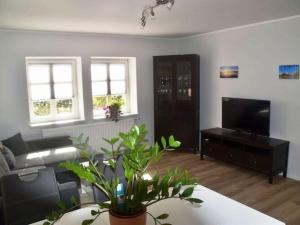 TV/trung tâm giải trí tại Ferienidyll in Gielow an der Seenplatte