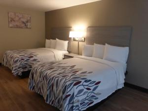 a hotel room with two beds with white sheets at Red Roof Inn Stroudsburg in Stroudsburg