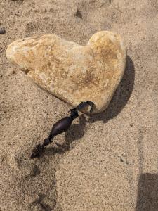 a heart shaped rock sitting on the sand at Rosegarth Bed and Breakfast in Marton