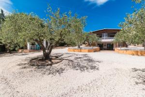 Κήπος έξω από το Rustico degli Ulivi