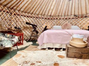una camera con letto e macchina fotografica in una yurta di The Croft Place of Architectual Interest a Lochearnhead
