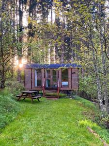 une petite cabine avec une table de pique-nique dans l'herbe dans l'établissement Camping-Chalets La Favière, à Lac des Rouges Truites