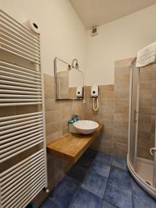 蓬塔謝韋的住宿－托斯卡尼大森帕酒店，一间带水槽和淋浴的浴室