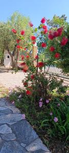 ein Busch voller roter Blumen neben einem Bürgersteig in der Unterkunft Filoxenia in Nea Iraklia