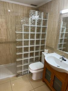 a bathroom with a toilet and a sink at Hostal cazalegas in Cazalegas