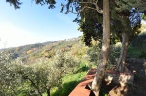 widok z dachu domu z drzewami w obiekcie Ferienhaus für 4 Personen ca 70 qm in San Gennaro, Toskana Provinz Lucca w mieście San Gennaro