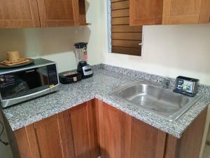 a kitchen counter with a sink and a microwave at Lujoso apartamento completo in Mendoza