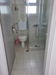 a bathroom with a toilet and a glass shower at Sun Ray Sivota 8 in Syvota