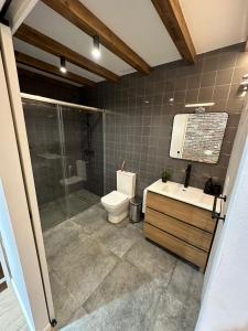 a bathroom with a toilet and a shower and a sink at Bear Homes - Olimpia Suite in Valencia