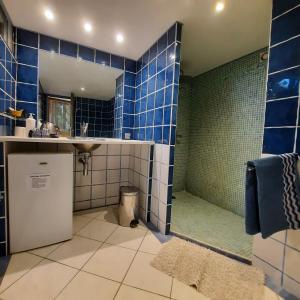 een blauw betegelde badkamer met een douche en een wastafel bij les 3 saisons in Cucuron