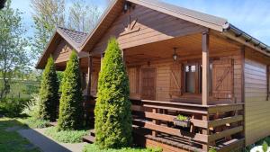 Una pequeña cabaña de madera con árboles delante. en Domki Maciejka, en Dąbki