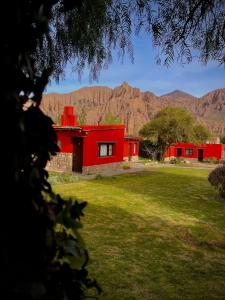 Naturlandskabet i nærheden af hotellet