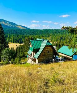 una casa con techo verde en la cima de una colina en Mountain story apartment, en Žabljak