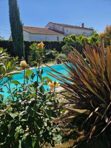 a garden with a swimming pool and some plants at Le Jardin Serein in Salindres +29 photos