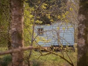 Une voiture de train blanche assise sur des pistes dans les bois dans l'établissement Bamff Ecotourism, à Alyth