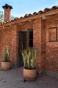two potted plants in front of a brick building at Cuesta Serena Boutique Hotel in Huaraz