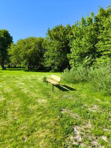 a park bench sitting in the middle of a field at Ferienhaus am Saaler Bodden in Saal
