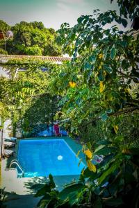 a view of a swimming pool through the trees at Pousada Quiosque Hospedagem La Bilbaina in Porto Seguro