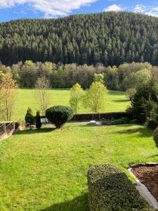 a green field with a mountain in the background at FeWo Obstfelderschmiede in Mellenbach-Glasbach