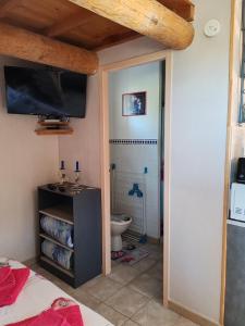 a bathroom with a toilet and a tv on the wall at STUDIO meublé indépendant chez l'habitant in Uchaux