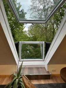 a skylight in a room with a large window at Casa Pedro in Osnabrück