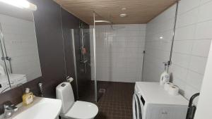 Bilik mandi di Top apartment in the best location in town and free parking Kotimaailma Apartments +4 gambar