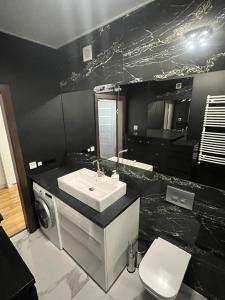 トゥレクにあるApartament Milewskiegoの黒のバスルーム(洗面台、トイレ付)