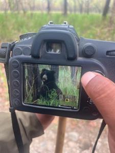 Fotografie z fotogalerie ubytování Hotel Chitwan Park Village v destinaci Sauraha