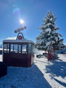 Chalet Epilobe - pied des pistes - vue magnifique ในช่วงฤดูหนาว