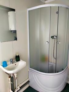 ein Bad mit einer Dusche und einem Waschbecken in der Unterkunft Cabana OTE Soft in Snagov