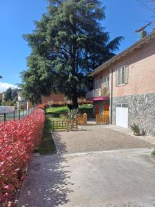 a walkway next to a building with a tree at B&B Borgo dei Cedri in Pontecchio