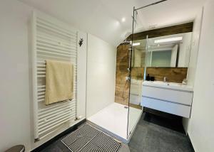 ein Badezimmer mit Dusche und Waschbecken in der Unterkunft L'Héritage de Durbuy in Durbuy + 58 Fotos