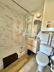 a bathroom with a shower and a toilet and a sink at Plage Cabourg 7bis in Cabourg