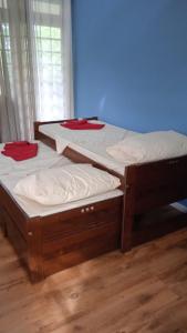 two twin beds in a room with a blue wall at Casa 11 in Campinas