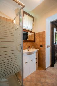 uma casa de banho com um lavatório e um chuveiro em Guest House: Casa dei Lillà em Bellegra