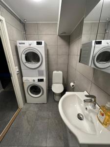 bagno con lavatrice e lavandino di Nyrenoverat 2-våningshus a Norrköping